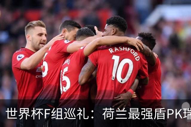 世界杯F组巡礼：荷兰最强盾PK瑞典犀利刀 日本短板明显