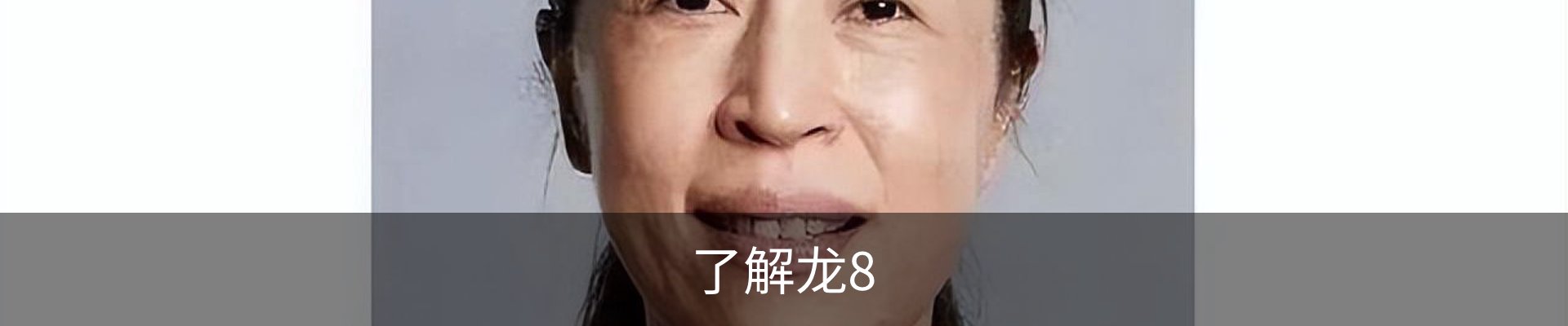 了解龙8